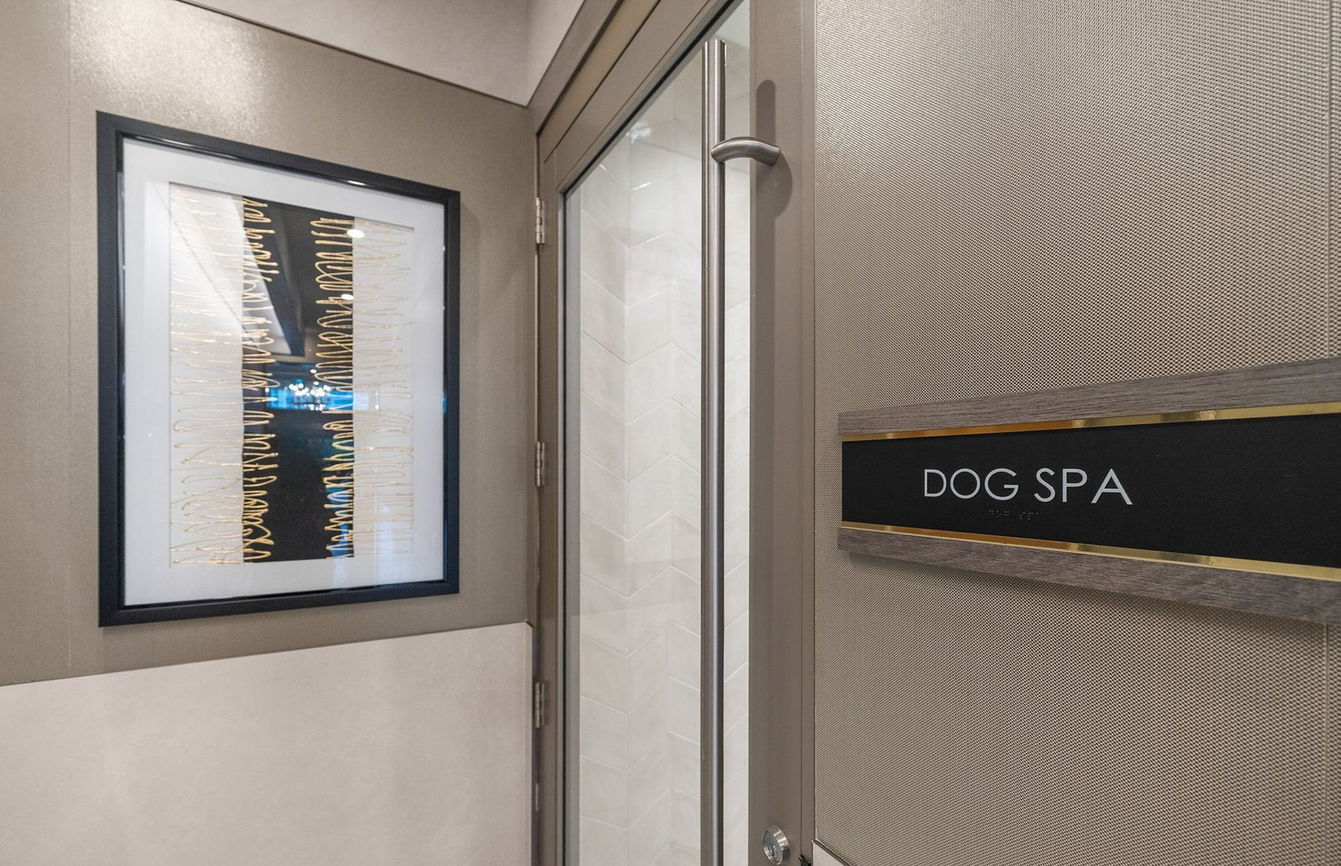 Dog spa amenity