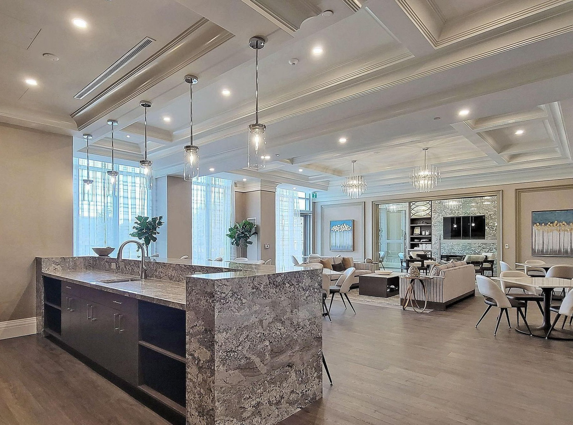 Party room and chef's kitchen amenity